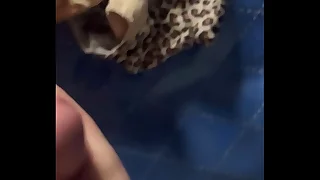 Scads be useful to cum on pantys